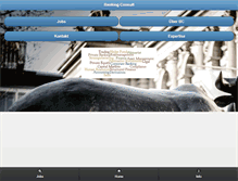 Tablet Screenshot of bankingconsult.com
